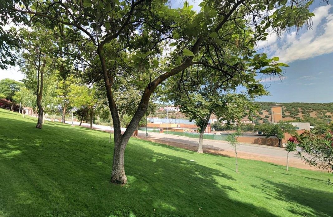 el-ayuntamiento-de-priego-buscara-una-nueva-ubicacion-para-el-jardin-botanico-de-variedades-de-olivo