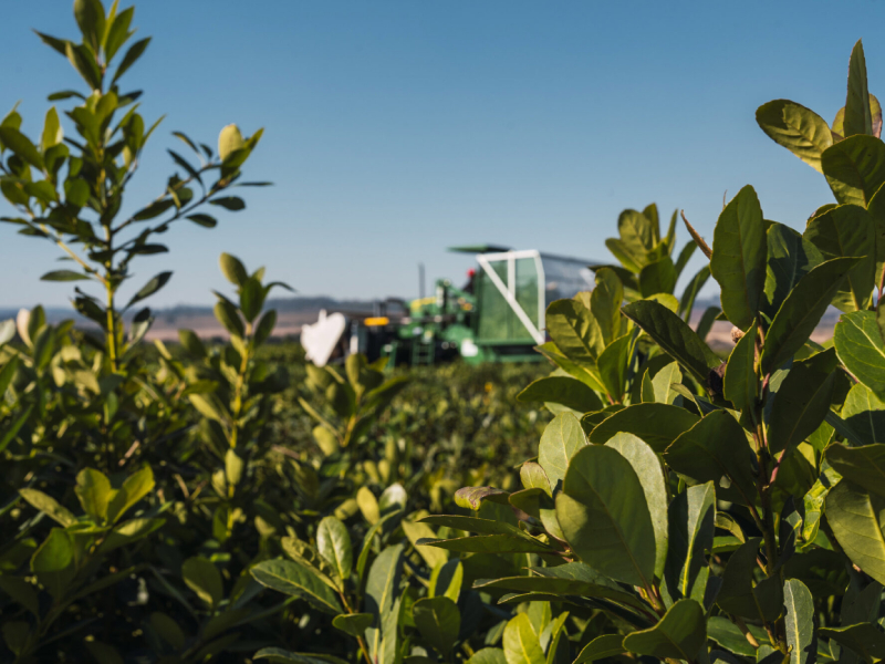 2313977-con-respaldo-del-bid-economistas-agrarios-debatiran-en-corrientes-sobre-competitivida6901a41c5b1d7